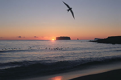photo : Pascal Fellonneau